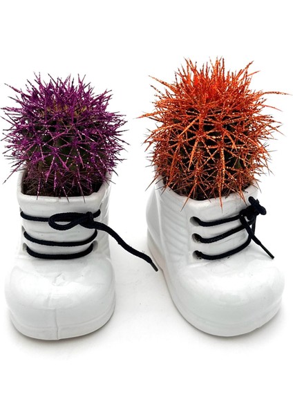 2li Seramik Ayakkabı Figürlü Saksı-Renkli Kaktüs- Dekoratif Obje fiyatları