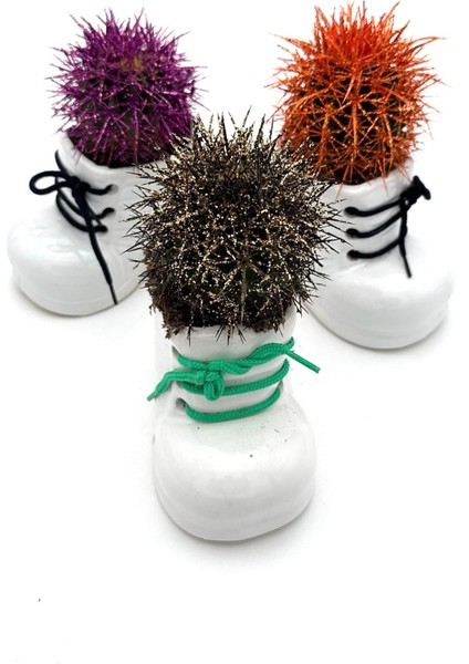 3lü Seramik Ayakkabı Figürlü Saksı-Renkli Kaktüs- Dekoratif Obje(Karışık Renkler)