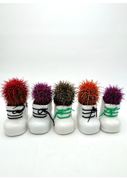 5li Seramik Ayakkabı Figürlü Saksı-Renkli Kaktüs-Dekoratif Obje