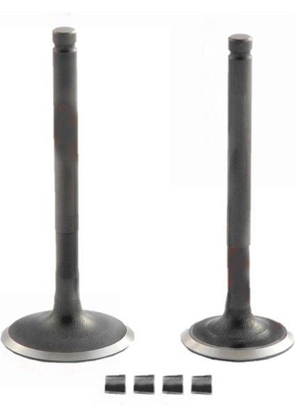 Mondial 50 Revival Emme Egzoz Supap Takımı