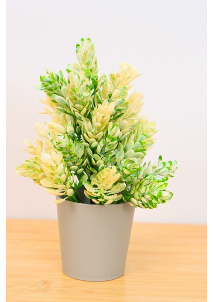 Dekoratif Küçük Saksılı Yapay Lavanta Çiçeği Beyaz 18 cm EVA-5824 C1-1-423