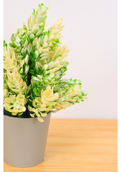 Dekoratif Küçük Saksılı Yapay Lavanta Çiçeği Beyaz 18 cm EVA-5824 C1-1-423 fiyatları