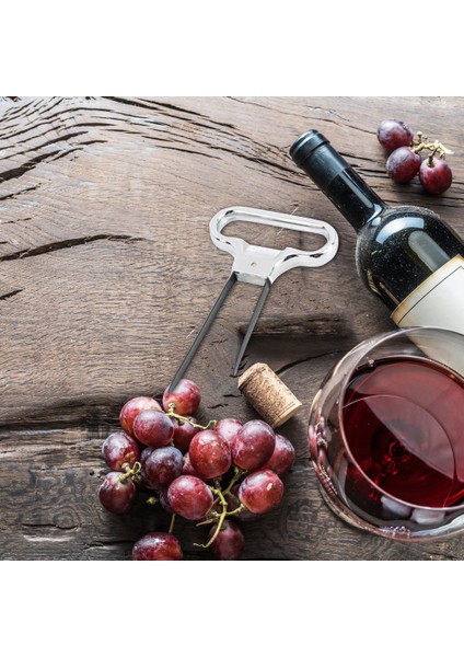 Paslanmaz Çelik Iki Uçlu Şarap Tıkaç Çekici (Yurt Dışından) indirimleri