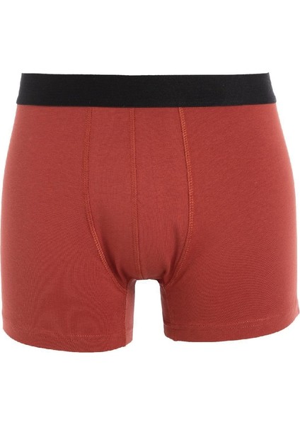 Regular Fit 3'lü Boxer C9571AX24CW