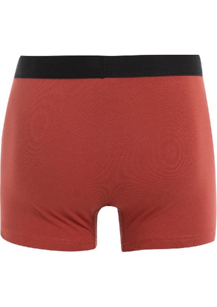 Regular Fit 3'lü Boxer C9571AX24CW