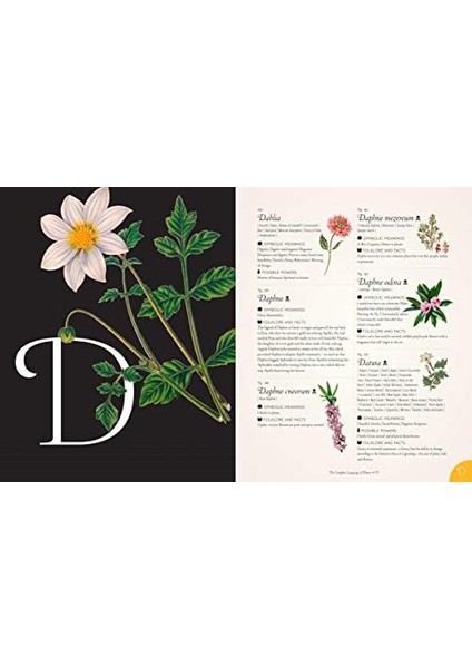 Complete Language Of Flowers: A Definitive And Illustrated History: Volume 3