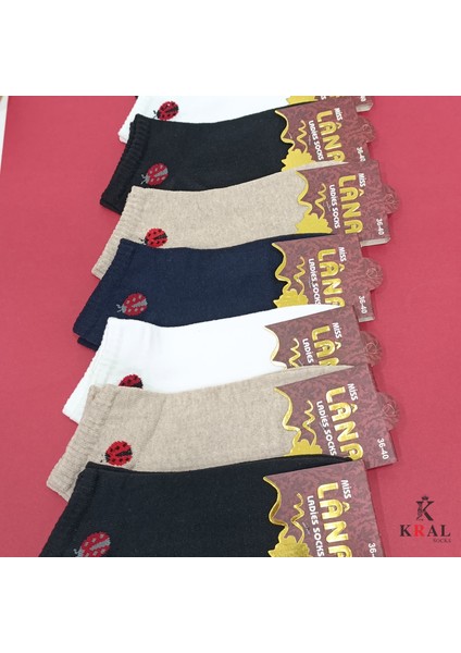 Kadın (5 Çift) Uğur Böceği Model Pamuklu Terletmez Çorap Seti