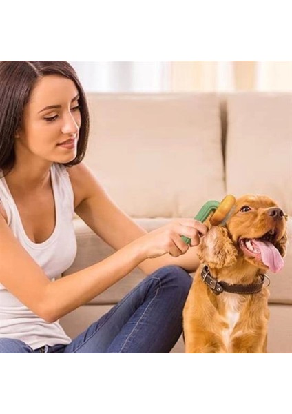 Plastik Yeşil Evcil Hayvan Bakım Pet Fırçası Çok Amaçlı Pet Fırçası Yeşil (4887) fırsatları