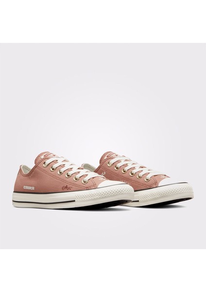 Chuck Taylor All Star Kadın Krem Sneaker