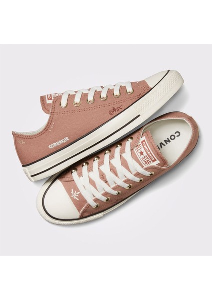 Chuck Taylor All Star Kadın Krem Sneaker
