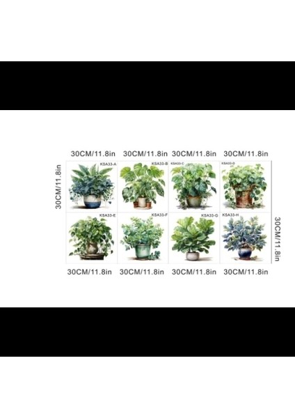 Tropikal Bitkiler Duvar Stickerı Model A