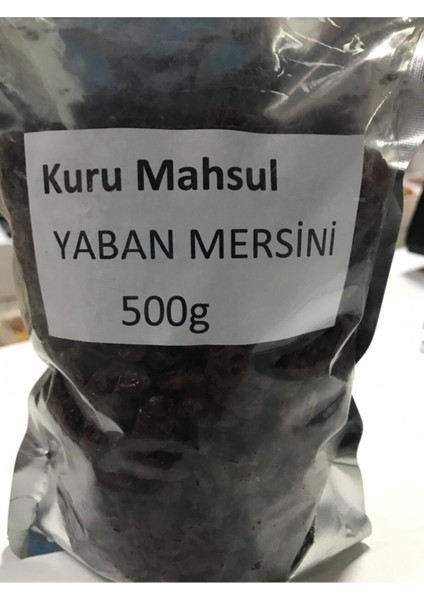 Yaban Mersini Kurusu Cranberry 500G fiyatları