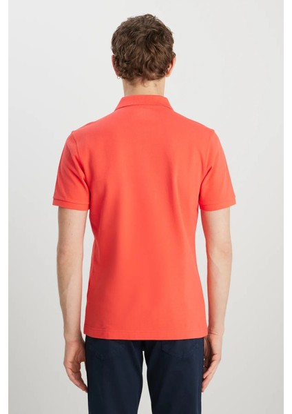 Erkek Regular Fit Polo Mercan Erkek Kısa Kol T-Shirt indirimleri