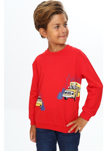 Erkek Çocuk Baskılı Sweatshirt fiyatları