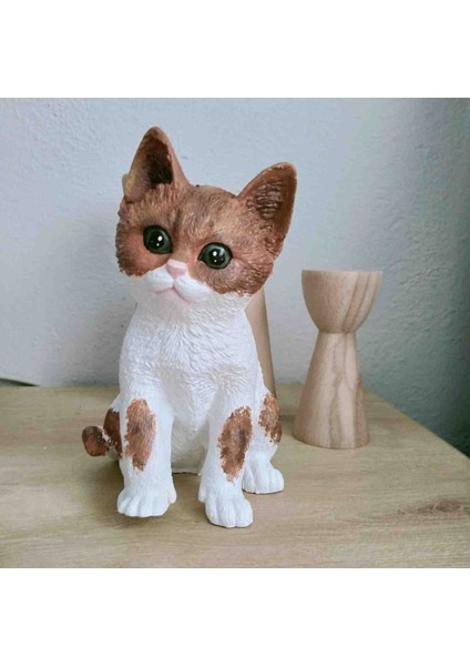 Kedi Biblosu Kahverengi