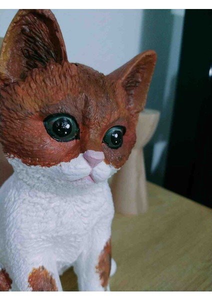 Kedi Biblosu Kahverengi fiyatları