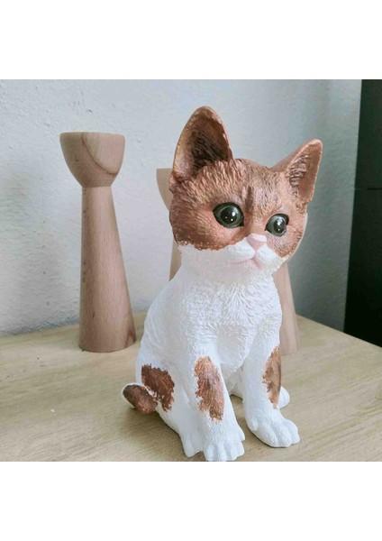 Kedi Biblosu Kahverengi modelleri