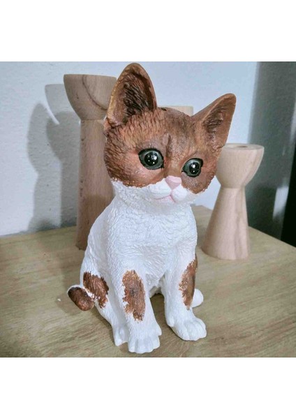 Kedi Biblosu Kahverengi fırsatları