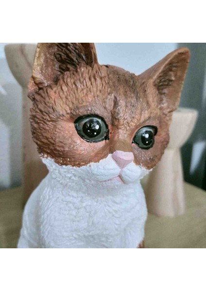 Kedi Biblosu Kahverengi indirimleri