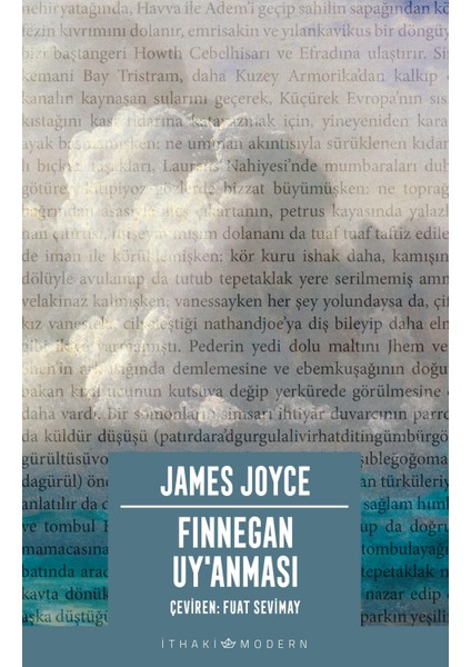 Finnegan Uy'anması