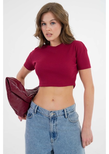 Bordo Bisiklet Yaka Kısa Kol Fitilli Örme Crop Bluz
