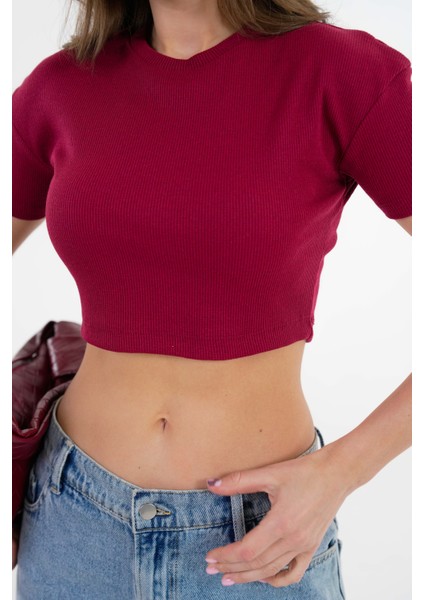 Bordo Bisiklet Yaka Kısa Kol Fitilli Örme Crop Bluz fiyatları