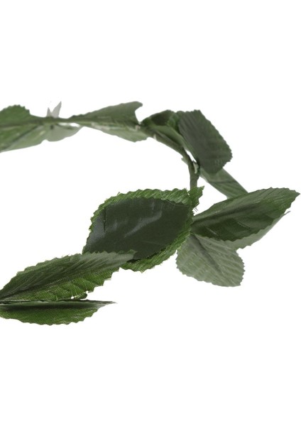 Yaprakları Laurel Çelenk Başlığı Toga Süslü Kostüm Headdress 60CM Yeşil (Yurt Dışından) fiyatları