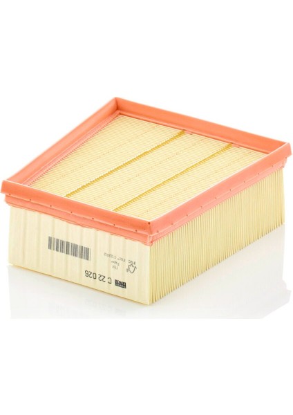 C22026 Hava Filtresi
