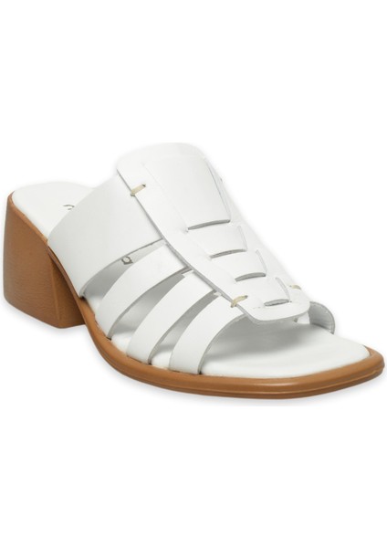 D25YT-1540Z Günlük Kadın Terlik