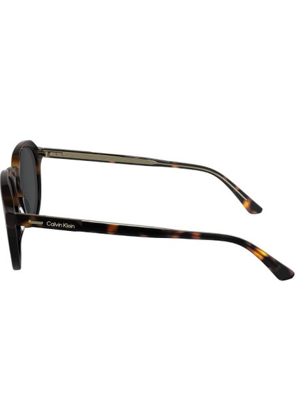 Ck 24538S 233 51 Unisex Oval Kırçıllı Kahverengi Kemik Güneş Gözlüğü modelleri