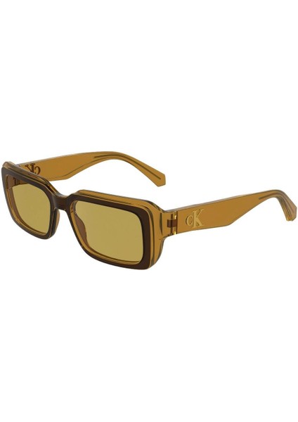 Ckj 24620S 210 53 Unisex Dikdörtgen Şeffaf Kahverengi Kemik Güneş Gözlüğü