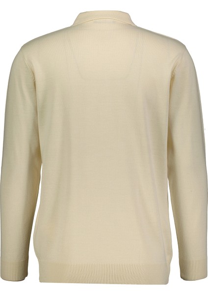 Erkek Düz Yünlü Kazak 2422201001.DZPYR fiyatları