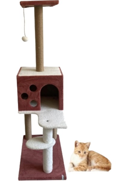 Kedi Tırmalama ve Oyun Evi Gül Kurusu