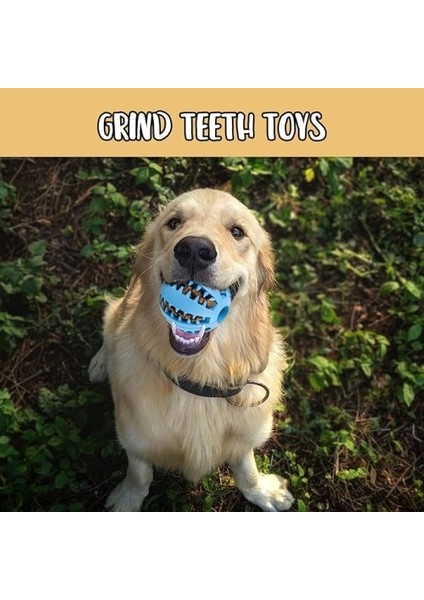 Mama Hazneli Köpek Eğitim ve Oyun Topu fiyatları