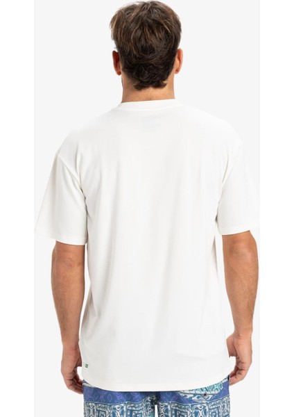 Everyday Surf Tee Ss Erkek Tişört AQYWR03135