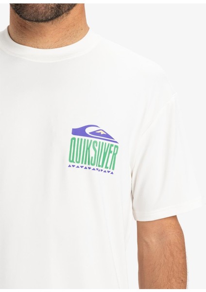 Everyday Surf Tee Ss Erkek Tişört AQYWR03135 modelleri