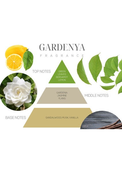100 ml Kare Şişe Gardenya Bambu Çubuklu Oda Kokusu