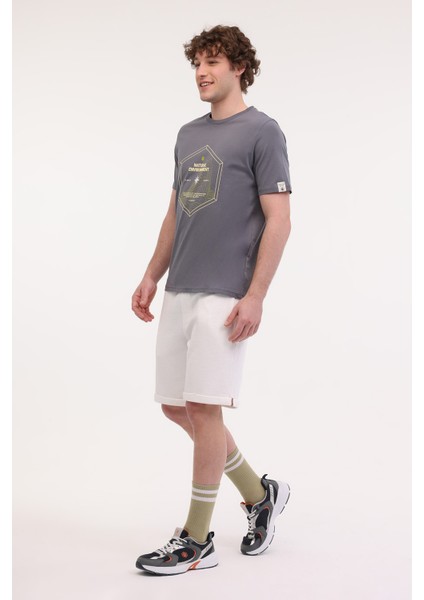 ml Emıl 11TRV19 5fx Gri Erkek Kısa Kol T-Shirt modelleri