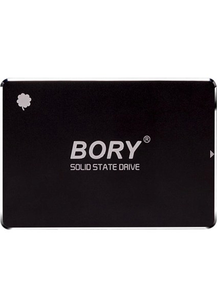 Bory R500-C128G Sata3 128 GB SSD 550/510 Mbs Harddisk (4887) modelleri