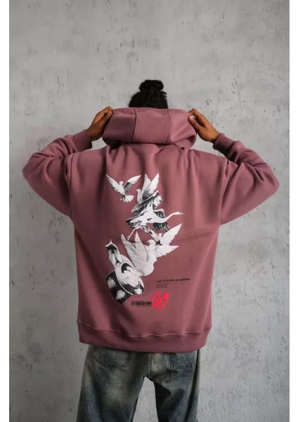 Erkek Şapkalı Güvercin Baskılı Kapşonlu Sweat - Gül Kurusu modelleri