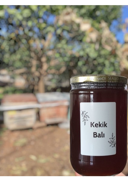 Adana Doğal Kekik Balı 850 gr fırsatları