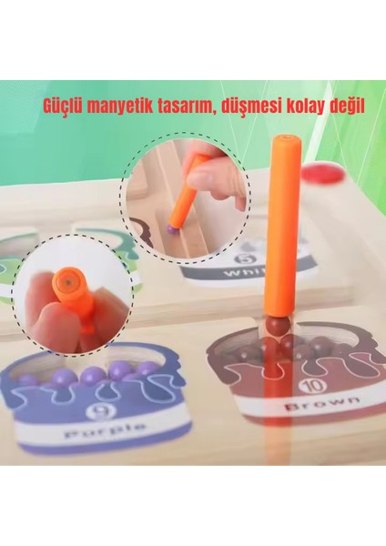 Manyetik Dondurma, Renk ve Numara Labirenti Montessori Aktivite Tahtası indirimleri