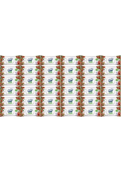 Islak Havlu Mendil 50 Yaprak Elma Sirkesi & Karbonat (36 Lı Set) (12PK*3) 1800 Yaprak