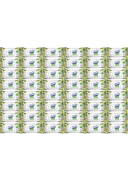 Islak Havlu Mendil 50 Yaprak Limon & Biberiye (48 Li Set) (16PK*3) 2400 Yaprak