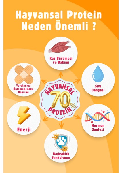 Süper Premium Yavru Kedi Maması ( Tavuklu ) 4,5 Kg.