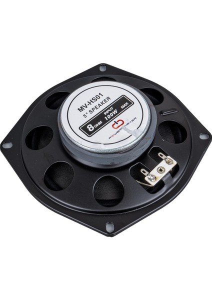 13 cm 4 Ohm Max 100 Watt Oto Hoparlör (4887)