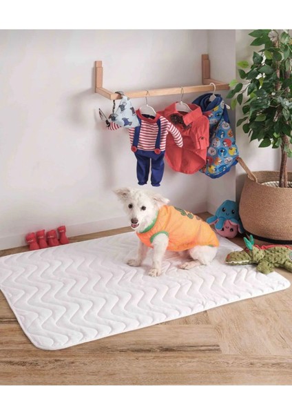 Kedi Köpek Çiş Pedi 75x105 | Sıvı Geçirmez Yıkanabilir Emici | Hasta Alezi | 4 Ebat fırsatları