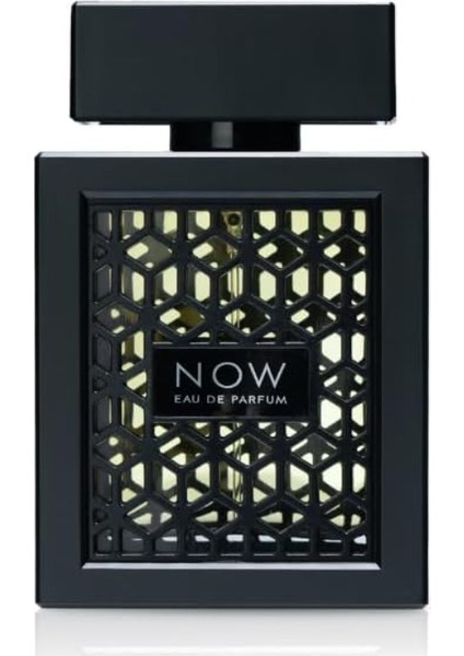 Rave Now Erkek Parfümü, 100 ml modelleri