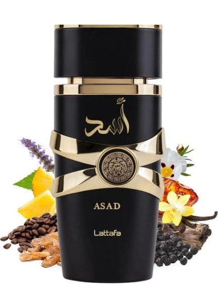 Asad Eau De Parfum For Men 100 ml modelleri