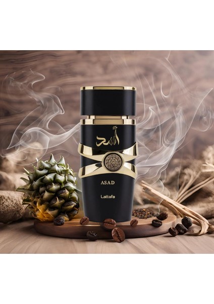 Asad Eau De Parfum For Men 100 ml fırsatları